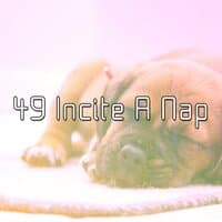 49 Incite A Nap