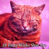 58 Forty Winks Shut Eye