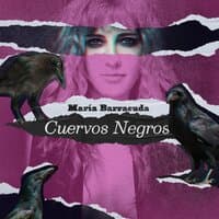 Cuervos Negros