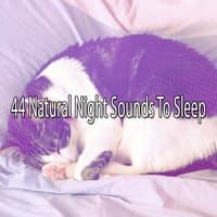 44 Natural Night Sounds To Sleep