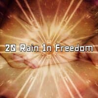 20 Rain In Freedom