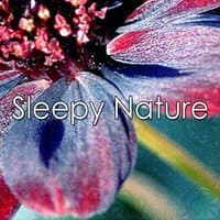 Sleepy Nature