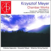 Krzysztof Meyer: Chamber Works