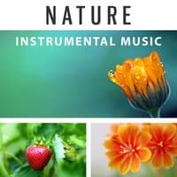 Nature Instrumental Music – Calm Music, Ambient New Age Music for Meditation, Massage, Yoga, Spa, Relaxation, Inner Peace