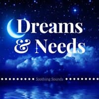 Dreams & Needs