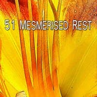 51 Mesmerised Rest