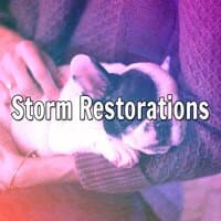 Storm Restorations