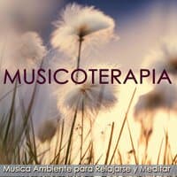 Musicoterapia – Musica Ambiente para Relajarse y Meditar