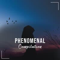 #16 Phenomenal Compilation for Meditation and Yoga