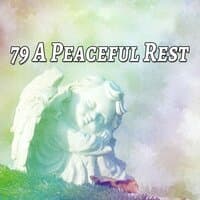 79 A Peaceful Rest