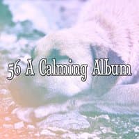 56 A Calming Album