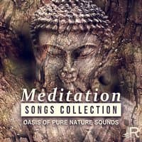 Meditation Songs Collection - Oasis of Pure Nature Sounds, Relaxing Ocean Waves for Yoga Practices and Healing Chakra Balancing