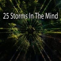 25 Storms In The Mind