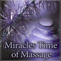 Miracles Time of Massage – Most Beautiful Nature Sounds for Deep Relax, Rest While Massage, Calm Down Emotions and Enjoy Your Life