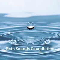 12 Stress Busting Rain Sounds: Ambient Natural Sounds for Wellbeing and Mindfulness