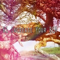 61 Increase Your Rem