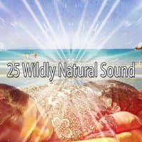 25 Wildly Natural Sound