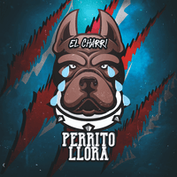 Perrito Llora