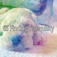 65 Finding Tranquility