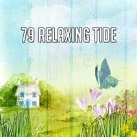 79 Relaxing Tide