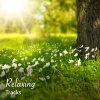 #12 Relaxing Tracks for Yoga, Zen and Meditation