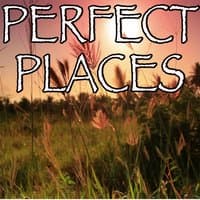 Perfect Places - Tribute to Lorde