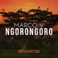 Ngorongoro