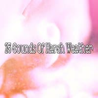 25 Sounds Of Harsh Weather