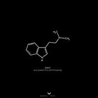 Dimethyltryptamine NN DMT EP