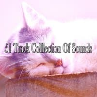 51 Track Colllection Of Sounds