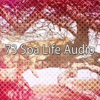 73 Spa Life Audio