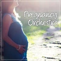 Pregnancy Orchestra – Music for Pregnant Woman, Total Relaxation Before Childbirth