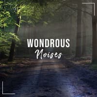 #21 Wondrous Noises for a Great Nights Sleep