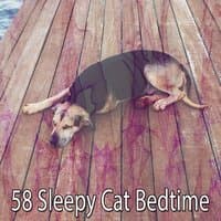 58 Sleepy Cat Bedtime