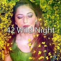 42 Wild Night