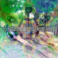 65 Returning Energy from Sleep