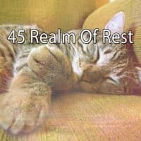 45 Realm of Rest