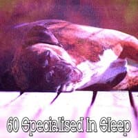 60 Specialised in Sleep