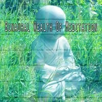 Binaural Wealth of Meditation