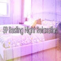 59 Resting Night Relaxation