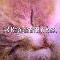 53 Represent in Rest