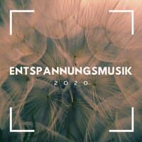 Entspannungsmusik 2020: Wellnessmusik kann beruhigend auf Körper und Geist wirken und so beim Einschlafen helfen