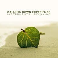 Calming Down Experience: Instrumental Relaxing