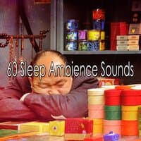 60 Sleep Ambience Sounds