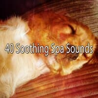 40 Soothing Spa Sounds