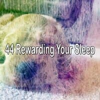 44 Rewarding Your Sleep