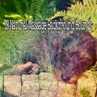 28 Natural Massage Background Sounds