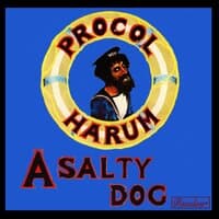 A Salty Dog (B-Sides)