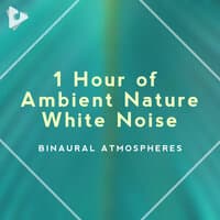 1 Hour of Ambient Nature White Noise