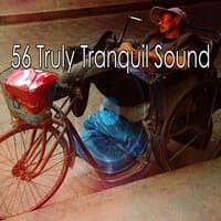 56 Truly Tranquil Sound